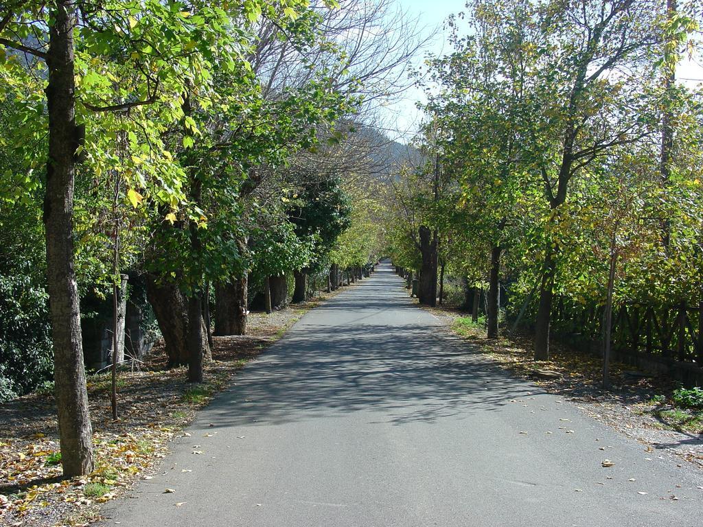 Archontiko Nikolopoulou Vytina Exterior foto