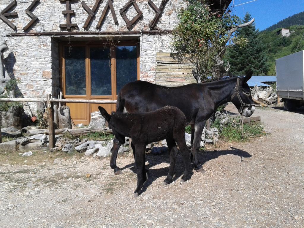 Archontiko Nikolopoulou Vytina Exterior foto