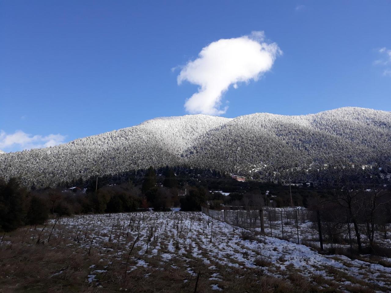 Archontiko Nikolopoulou Vytina Exterior foto